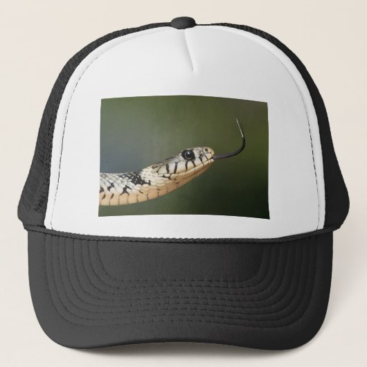 草のヘビ キャップ (正面)