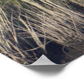 草のポスターのヘロン ポスター (角)