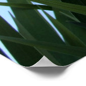 草のポスター ポスター (角)