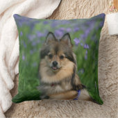 草のポメラニア犬 クッション (ブランケット)