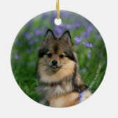 草のポメラニア犬 セラミックオーナメント (裏面)
