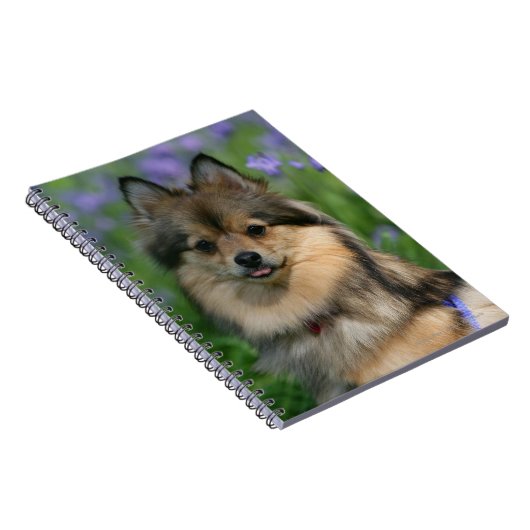 草のポメラニア犬 ノートブック (右側)