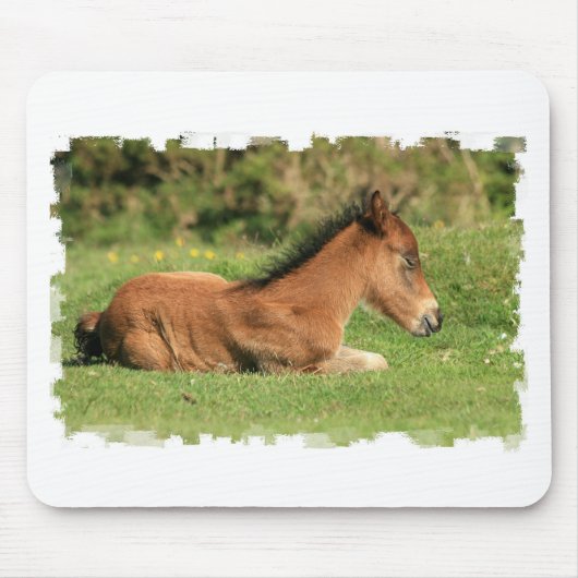 草のマウスパッドで休む子馬 マウスパッド (正面)