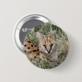 草のリラックス中の猫 缶バッジ (正面&裏面)