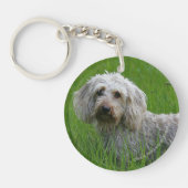 草のワイヤー髪の標準的なダックスフント キーホルダー (正面)