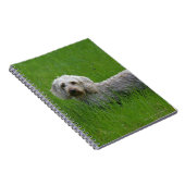 草のワイヤー髪の標準的なダックスフント ノートブック (右側)