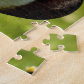 草の上にドレイクマラード ジグソーパズル (側面)