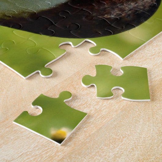 草の上にドレイクマラード ジグソーパズル (側面)