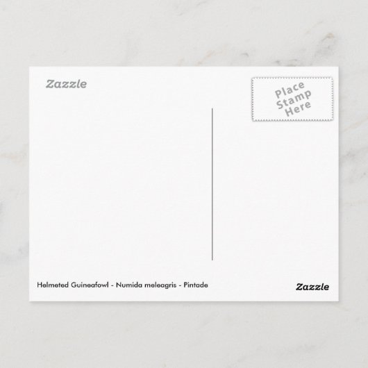 草の上にヘルメッド・ギネフクロウ ポストカード (裏面)
