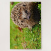 草の上に茶色のヘグデホッグ ジグソーパズル (縦)