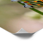 草の上のアゲハチョウの軌跡 ポスター (角)