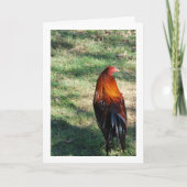 草の上のニワトリ カード (正面)