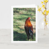 草の上のニワトリ カード (黄色い花)