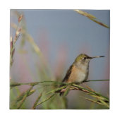 草の上のハチドリ タイル (正面)