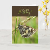 草の上の大理石模様の白い蝶 カード (黄色い花)