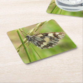 草の上の大理石模様の白い蝶 スクエアペーパーコースター