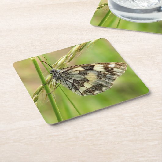 草の上の大理石模様の白い蝶 スクエアペーパーコースター (アングル)