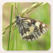 草の上の大理石模様の白い蝶 スクエアペーパーコースター (正面)