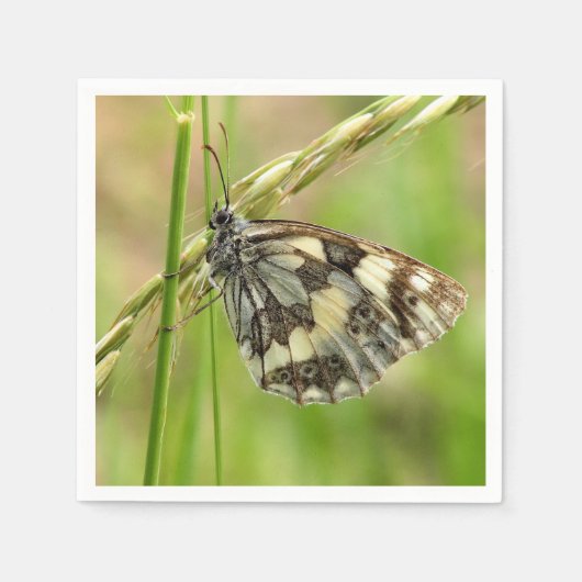 草の上の大理石模様の白い蝶 スタンダードカクテルナプキン (正面)