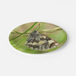 草の上の大理石模様の白い蝶 ペーパープレート
