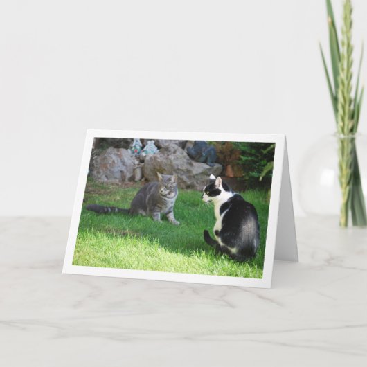 草の上の子猫 カード (正面)