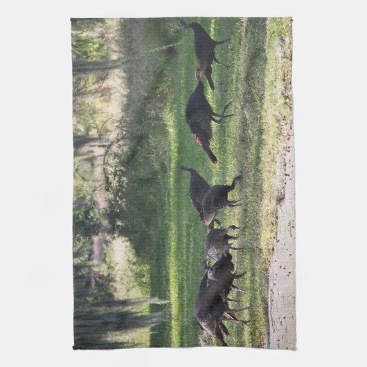 草の上の野生の七面鳥の写真 キッチンタオル (縦)