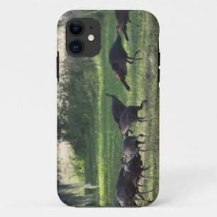 草の上の野生の七面鳥の写真 iPhone 11 ケース