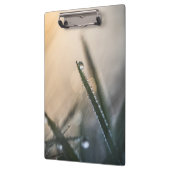 草の上の露の液滴フローラ自然写真 クリップボード (左)