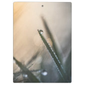 草の上の露の液滴フローラ自然写真 クリップボード (裏面)