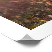 草の中で休むムース ポスター (角)