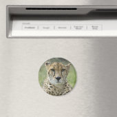 草の中で休む マグネット (インサイチュ (食洗機))