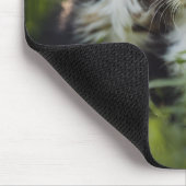 草の中で愛らしい子猫 マウスパッド (コーナー)