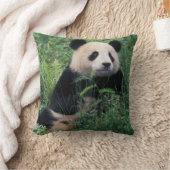 草の中にジャイアントパンダ、臥龍谷、四川省 クッション (ブランケット)