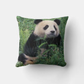 草の中にジャイアントパンダ、臥龍谷、四川省 クッション (裏面)