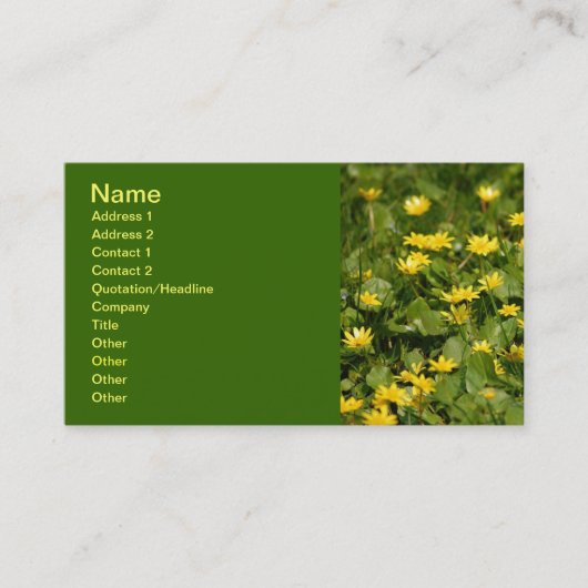 草の中に小さな黄色の花1957自然FLOWERS Y 名刺 (正面)