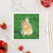 草の中に座ったかわいい子犬バニー スタンダードカクテルナプキン (インサイチュ)