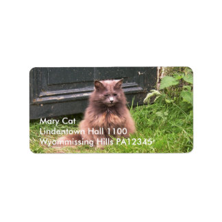 草の中に座っている猫のキラ ラベル