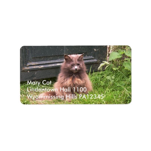 草の中に座っている猫のキラ ラベル (正面)