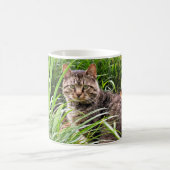 草の中に座るタブビー猫の写真 コーヒーマグカップ (中央)