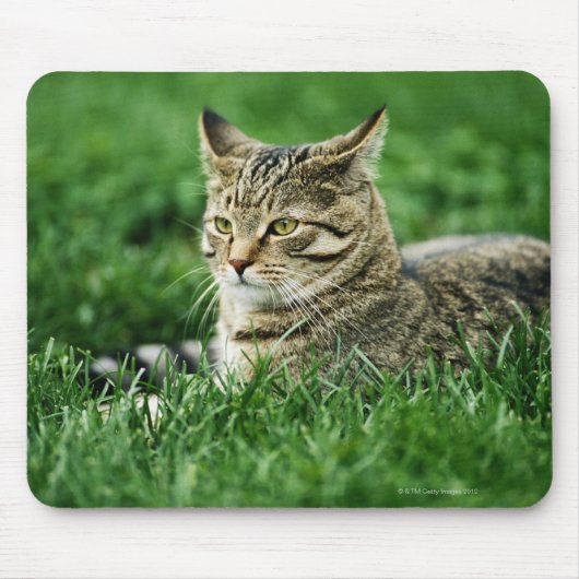 草の中に横たわる猫 マウスパッド (正面)
