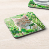 草の中に緑の目を持つジンジャーネコ コースター (左側)
