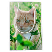 草の中に緑の目を持つジンジャーネコ ミディアムペーパーバッグ (正面)