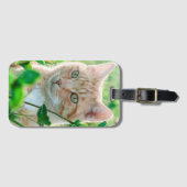 草の中に緑の目を持つジンジャーネコ ラゲッジタグ (正面横)