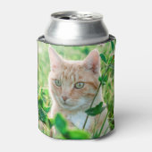 草の中に緑の目を持つジンジャーネコ 缶クーラー (缶正面)