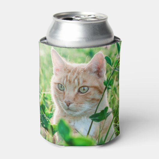 草の中に緑の目を持つジンジャーネコ 缶クーラー (缶正面)