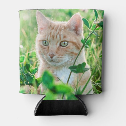 草の中に緑の目を持つジンジャーネコ 缶クーラー (正面)