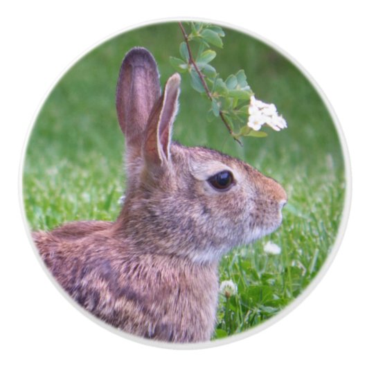 草の中のウサギ セラミックノブ (正面)