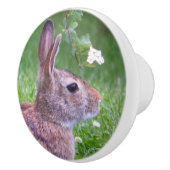 草の中のウサギ セラミックノブ (右)