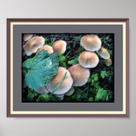 草の中のキノコのポスター ポスター