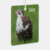 草の中のコトルニックスウズラ メタルオーナメント (正面右)